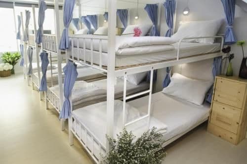 Bunk Bed in Mixed Dormitory Room