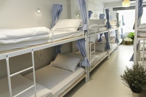 Bunk Bed in Mixed Dormitory Room