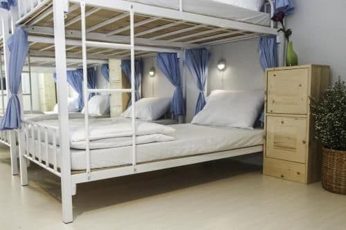 Bunk Bed in Mixed Dormitory Room