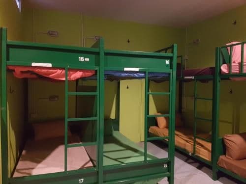 Bunk Bed in Mixed Dormitory Room