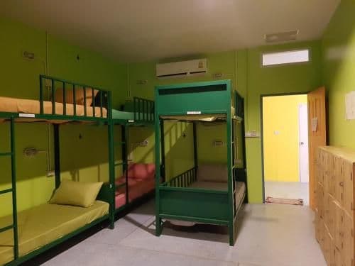 Bunk Bed in Mixed Dormitory Room