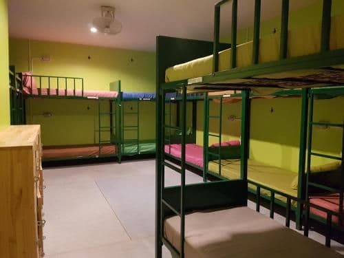 Bunk Bed in Mixed Dormitory Room