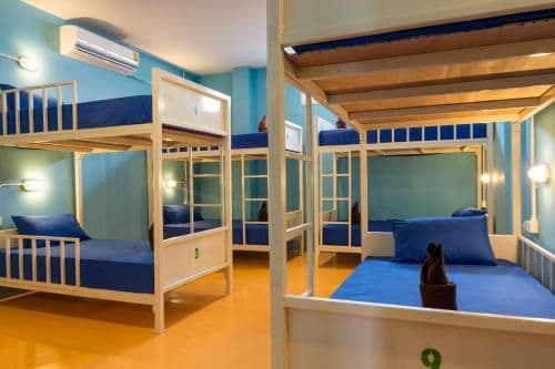 Bed in 10-Bed Mixed Dormitory Room