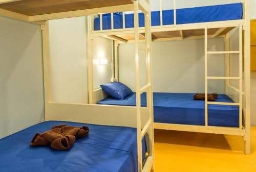 Bed in 10-Bed Mixed Dormitory Room