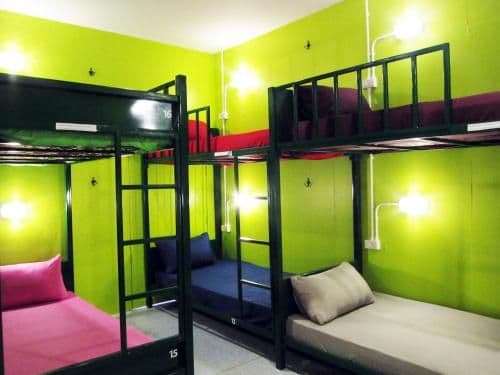 Bunk Bed in Mixed Dormitory Room