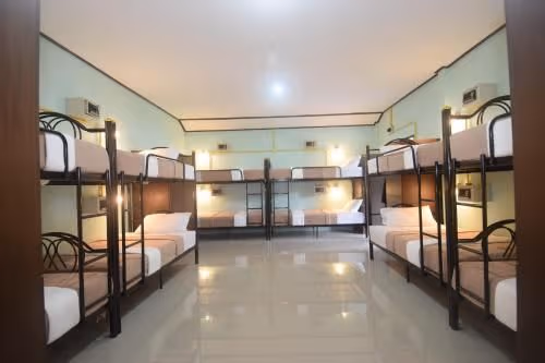 Bunk Bed in Mixed Dormitory Room
