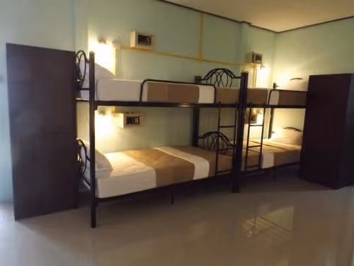 Bunk Bed in Mixed Dormitory Room