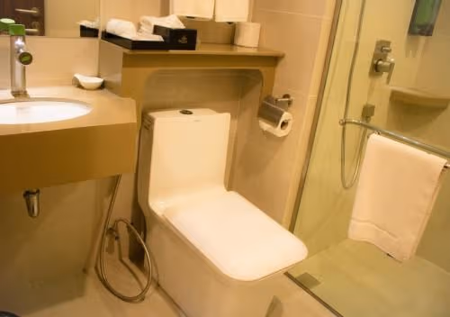 Deluxe Double or Twin Room with City View