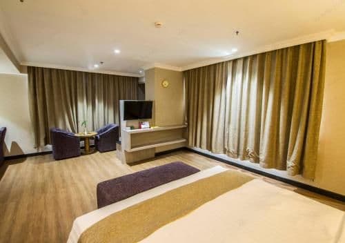 Deluxe Double or Twin Room with City View