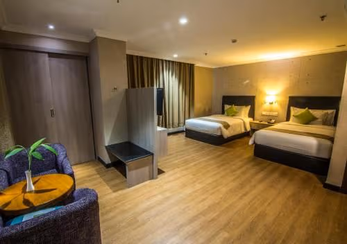 Deluxe Double or Twin Room with City View