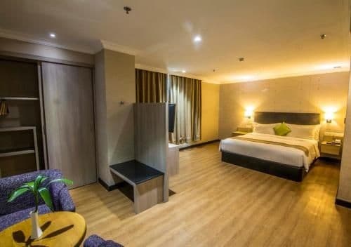 Deluxe Double or Twin Room with City View