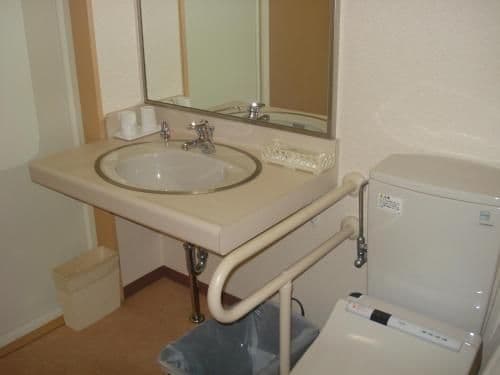 Deluxe Room - Non-Smoking
