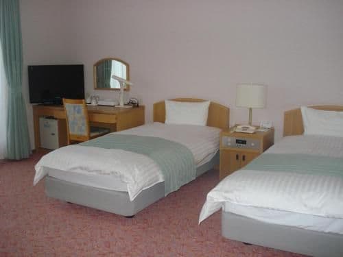 Deluxe Room - Non-Smoking