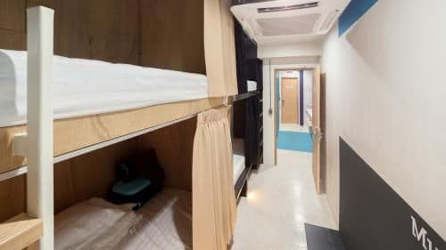 Bunk Bed in Mixed Dormitory Room