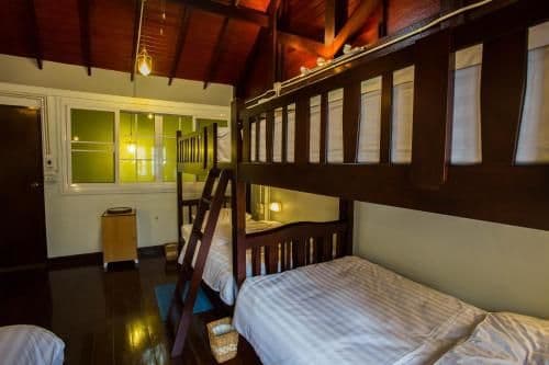 Bunk Bed in Mixed Dormitory Room