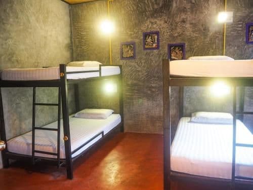 Bunk Bed in Mixed Dormitory Room