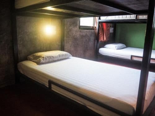 Bunk Bed in Mixed Dormitory Room