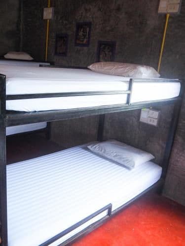 Bunk Bed in Mixed Dormitory Room