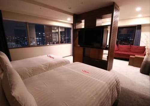 Premier Twin Room - Non-Smoking