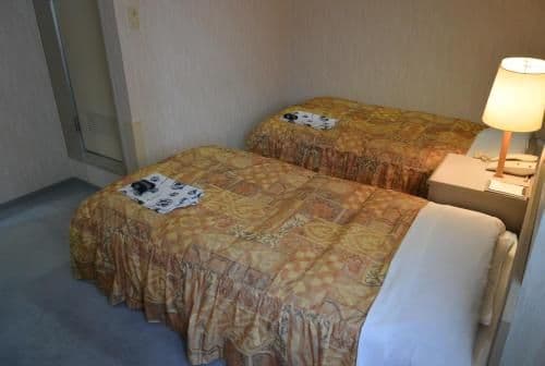 Twin Room - Non-Smoking