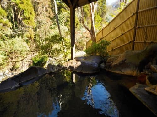 Superior Twin Room with Tatami Area and Private Bathroom