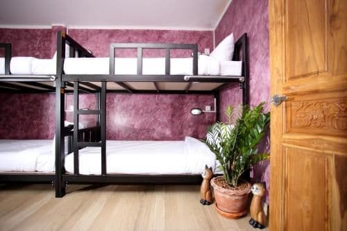 Bunk Bed in Female Dormitory Room