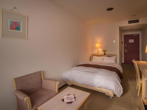 Double Room - Non-Smoking