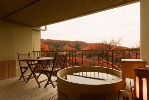 Japanese-Style Standard Room with Open-Air Bathroom