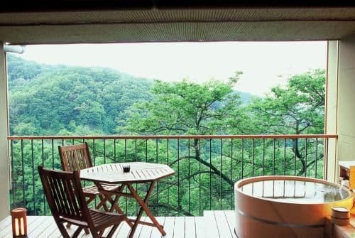Japanese-Style Standard Room with Open-Air Bathroom