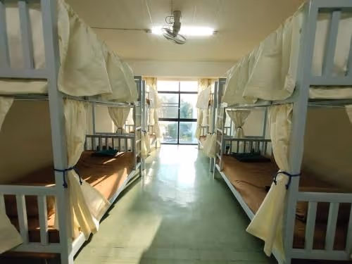 Bed in 10-Bed Mixed Dormitory Room