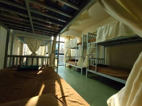 Bed in 10-Bed Mixed Dormitory Room