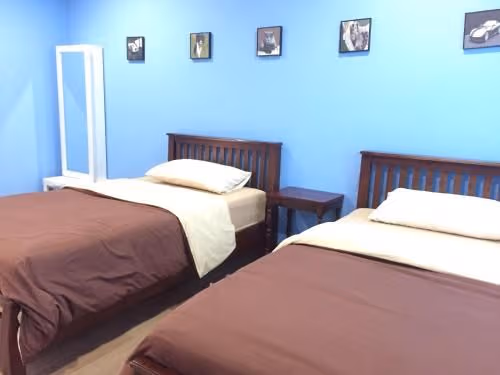 Twin Room with Private Bathroom