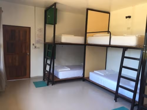 Bunk Bed in Mixed Dormitory Room