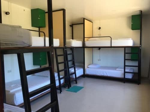 Bunk Bed in Mixed Dormitory Room
