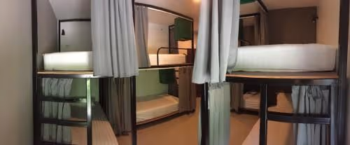 Bunk Bed in Mixed Dormitory Room