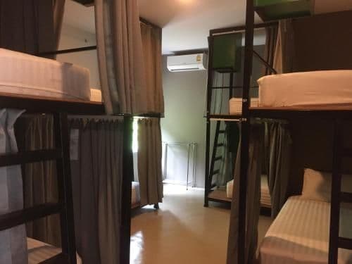 Bunk Bed in Mixed Dormitory Room