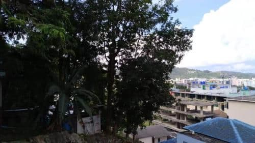 King Room with Garden View