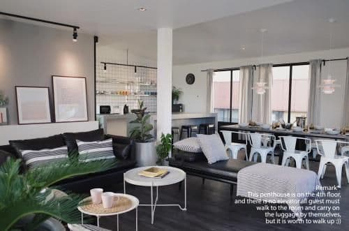 Penthouse Apartment