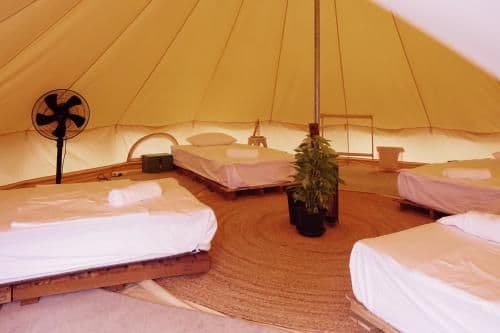 Bed in 4-Bed Mixed Dormitory Room