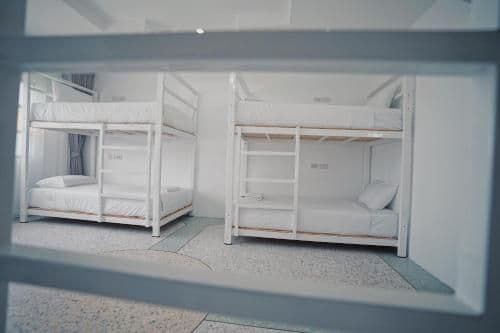 Bed in 6-Bed Dormitory Room