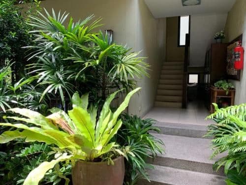 Standard Apartment