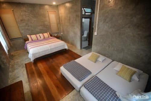 Quadruple Room with Terrace