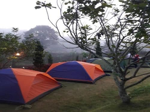Tent