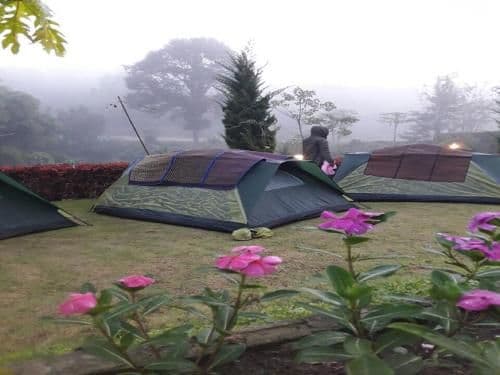 Tent