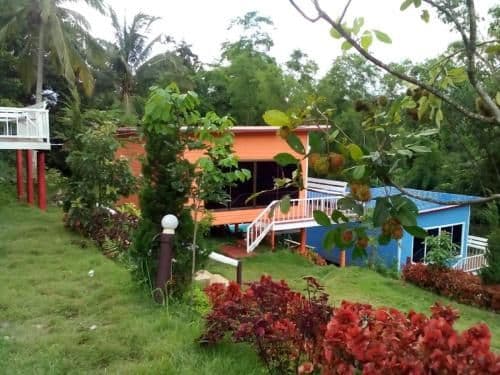 One-Bedroom Bungalow