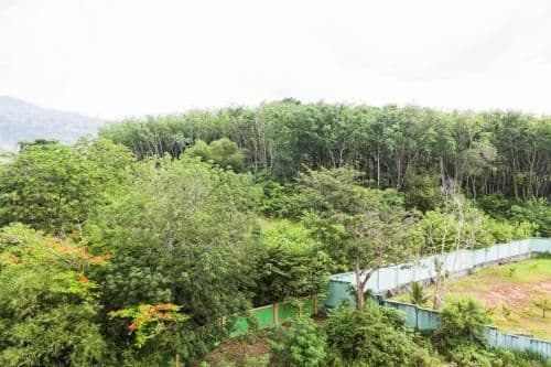 Two-Bedroom Apartment with Mountain View