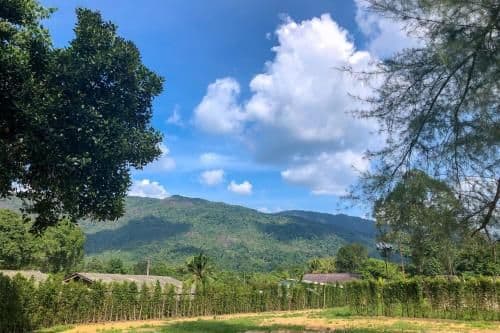 Deluxe Double or Twin Room with Mountain View