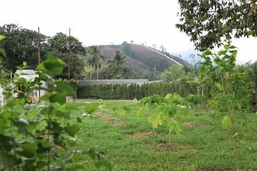 Deluxe Double or Twin Room with Mountain View
