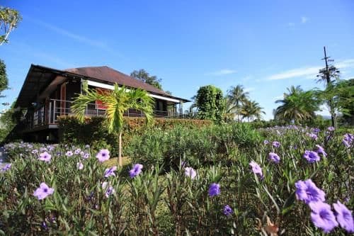 Deluxe Double or Twin Room with Mountain View