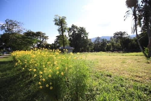 Deluxe Double or Twin Room with Mountain View